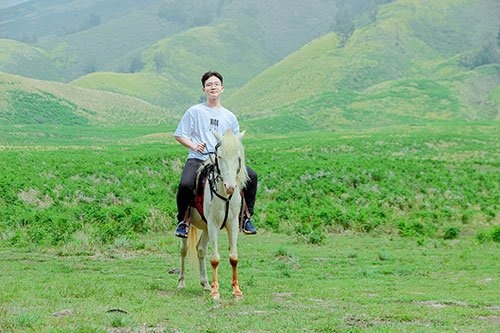 Bromo Travelista 14